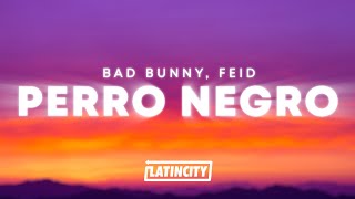 Bad Bunny Feid  PERRO NEGRO Letra [upl. by Hannan503]