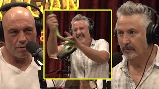 The Longest Comedy Bit In JRE History  Joe Rogan amp Harland Williams [upl. by Hanselka]