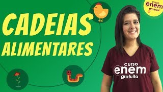 CADEIAS ALIMENTARES  Resumo de Biologia para o Enem [upl. by Gretna]