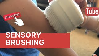 Sensory Brushing protocol for ASD kids with TherabrushWilbargers Brush Part1 [upl. by Adnovoj]