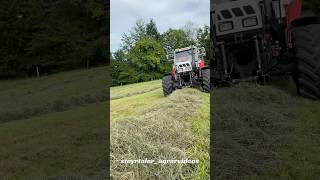 Heuernte mit Steyr964 und Pöttinger Trend junior farming steyr964 heu pöttinger viral fyp [upl. by Hadrian]