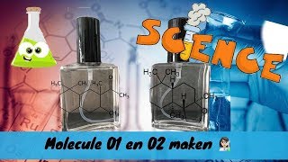 MOLECULE 01 EN 02 DIY [upl. by Llenwad764]