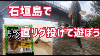 石垣島で直リグ投げて遊ぼう 石垣島おかっぱりIshigaki Island lure fishing [upl. by Nelav650]