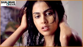 Genelia DSouza Scenes Back to Back  Latest Telugu Movie Scenes  Shalimarcinema [upl. by Laroy166]