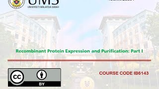 Recombinant Protein Expression in E coli Part I [upl. by Notliw]