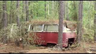 1971 MicroBus and Three Beetles  BARN FIND  FOUND IN THE WOODS OF SC [upl. by Aidni183]