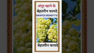 Angoor Khane Ke Fayde  Angur Khane Ke Fayde  Benefits of Grapes [upl. by Nnalyrehc]