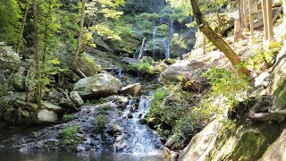 Catawba Falls River Trail [upl. by Eilitan]