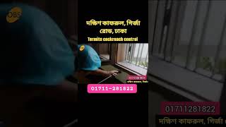 South Kafrul Dhaka PestControlbd termitecontrol cockroachcontrol nearpest shorts viral [upl. by Wenoa595]