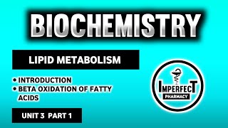 Beta Oxidation Of Fatty Acids  Lipid Metabolism  Biochemistry  B Pharma 2nd Semester [upl. by Koffman]