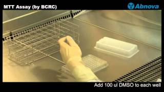 MTT Assay by BCRC [upl. by Nevag677]