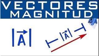 Magnitud Norma o Módulo de un Vector  longitud o medida [upl. by Sirtimid]