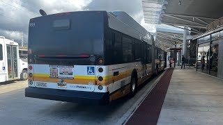 Honolulu Bus 169 Route 1L [upl. by Jannelle495]