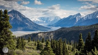 Adyashanti Guided Meditation  The Art of Listening [upl. by Ennayar]