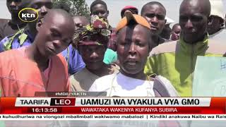 Muungano wa wakulima wadogo wadogo wahimiza wakenya kuwa na subira na uamuzi wa vyakula vya GMO [upl. by Tterrab]