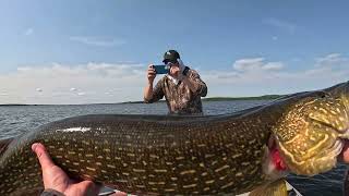 Catching Giant Pike on Topwater and Trolling [upl. by Yoshi]