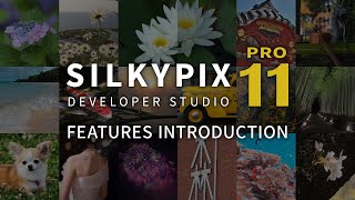 quotSILKYPIX Developer Studio Pro11quot promotion movie  FEATURES INTRODUCTION [upl. by Euqinaj]