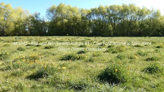 4K UHD  Rest and Restore with Nature 1  Coes Ford Reserve in Springtime  Canterbury [upl. by Erlandson]