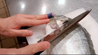 GRAPHIC  How to fillet a fish  Sea bream  Japanese technique  クロダイのさばき方 [upl. by Chiquita]