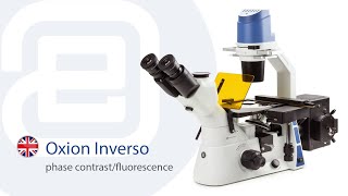 Euromex Oxion Inverso fluorescencephase EN [upl. by Yelrahs]