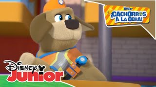 ¡Cachorros a la obra Canta con ¡Cachorros a la obra  Disney Junior Oficial [upl. by Chamberlin]