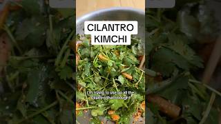 LOOK AWAY CILANTRO NONLOVERS CILANTRO KIMCHI HAS ARRIVED AT OUR HOME ITS NOT BAD [upl. by Oflunra199]