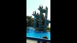 Lister Bad Hannover  Piscina  Sprung vom 10 Meter Turm 1 Tag Sommer im August 2012 [upl. by Buckley555]