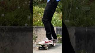 SOFT WHEELS SKATEBOARDS  PERFECTO LANDYACHTZ [upl. by Ecnerrot]