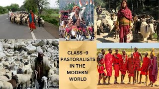 CLASS 9PASTORALISTS IN THE MODERN WORLDHISTORY [upl. by Eissat686]