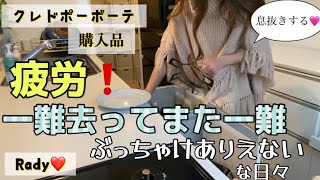 【専業主婦】🌸Radyセール品ポンチョパルシステム購入品資生堂クレドポーボーテガトーショコラ❤️ [upl. by Edialeda]