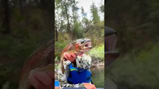 The barking river fish 🗣️🐟🎣 fishingvideo [upl. by Barden]