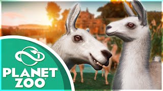 30 LAMAER Ny pakke  Dansk Planet Zoo 16 [upl. by Eelesor]