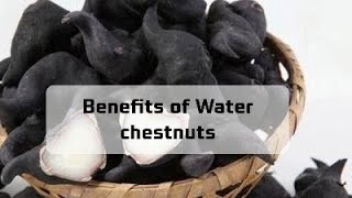 Benefits of Water chestnuts healthyliving food healthyeating shortsfeed shorts youtubeshorts [upl. by Dorella435]