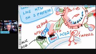 Galectin Inhibitors Viral Infections Inflammation [upl. by Scholem]