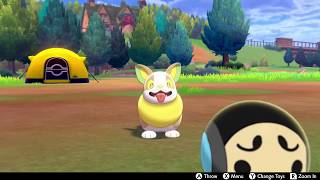 Yamper In Camp  Pokemon Sword amp Shield [upl. by China]