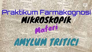 AMYLUM TRITICI MIKROSKOPIS PRAKTIKUM FARMAKOGNOSI [upl. by Duma]