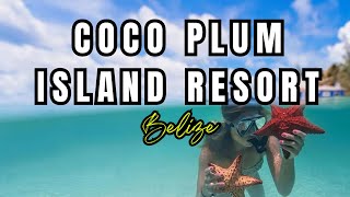 Coco Plum All Inclusive Resort Dangriga Belize [upl. by Karla]