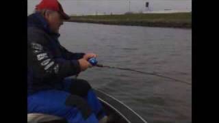 Test Berkley Paddle Tail Shad [upl. by Rollo]