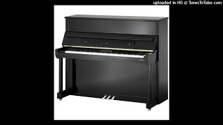 Bechstein concert residence 124 demo [upl. by Ainegue]