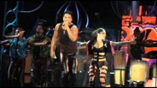 Harmonia do Samba  Swing Sangue Bom  Dvd Selo de Qualidade Ao Vivo [upl. by Dru]