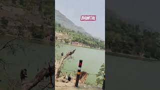 Fasale Our Kam Ho Rahe Hain bhimtal hindisong jaduterinazar ytshortsvideo trevel viralshorts [upl. by Heady]