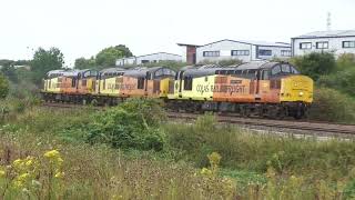 37254 37421 37116 Wilmorton 18th August 2024 0Z70 Derby RTC Colwick [upl. by Atikam]