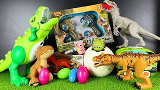 Jurassic World Unboxing Review Asmr Giant Green T Rex Indominus Rex Dinosaur Eggs Hatching [upl. by Eimmak]