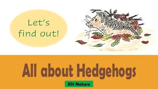 All about Hedgehogs [upl. by Winny]