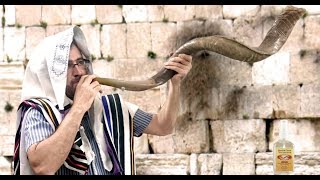 🔴El Shofar y sus significados שופר Levita de Hashem [upl. by Pass]