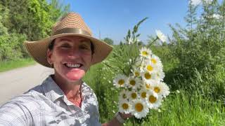 HARVESTING FLOWERS for Farmers Market [upl. by Baldridge]