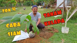 ✅ EP6  BEGINI KAEDAH PERKEBUNAN THAILAND  KELAPA TACUNAN [upl. by Yroger]