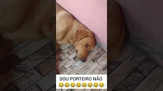 SOU PORTEIRO NÃO 😂😂😂😂😂😂 [upl. by Moia]