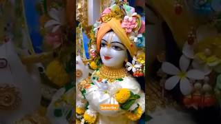 Harekrishna krishna 🙏🌸 shorts shortsfeed harekrishna ytshorts shortvideo [upl. by Aliuqet]