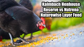 Which chicken feed do my chickens prefer Kalmbach Henhouse Reserve vs Nutrena Naturewise 16 Layer [upl. by Veradis]